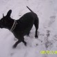 Diciembre 2009..Me lo paso pipa con la nievee!!